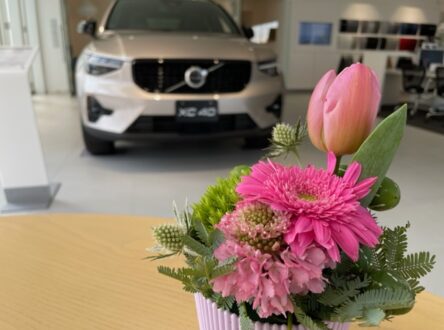 期間限定ドリンク