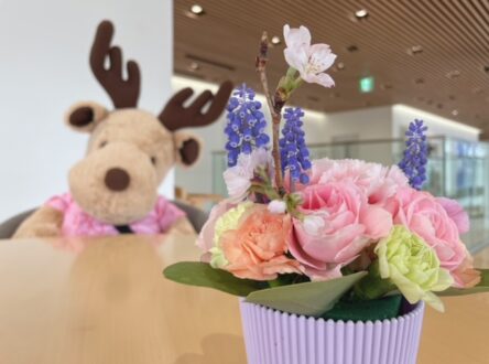 今月の期間限定ドリンク